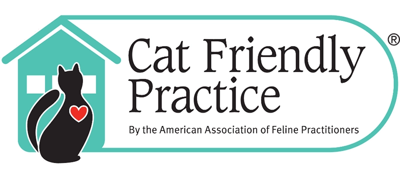 Cat Friendly Practice